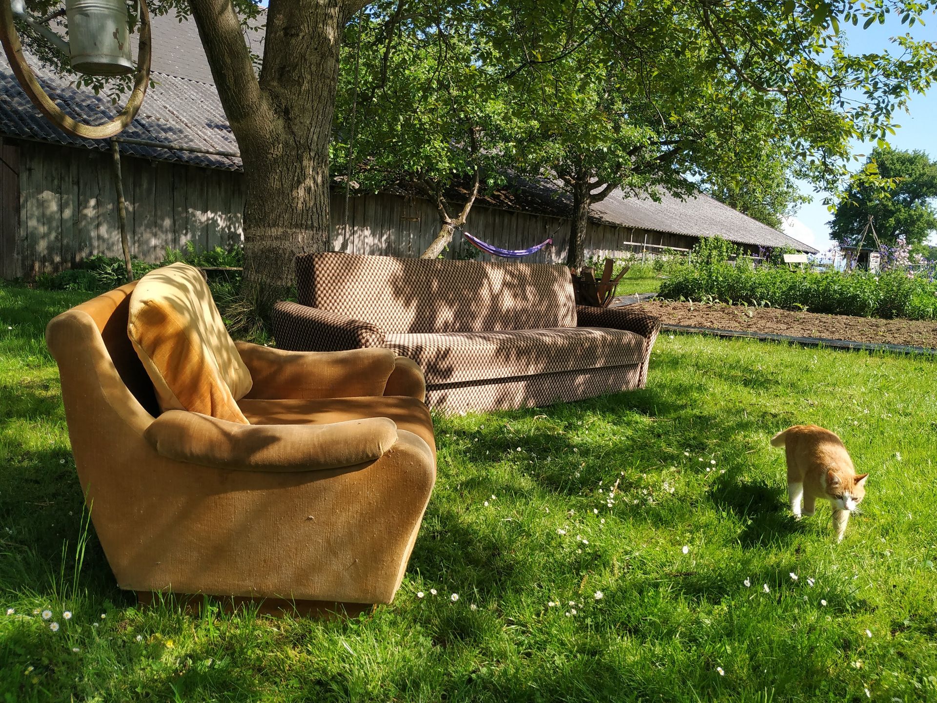Natur am Campingplatz